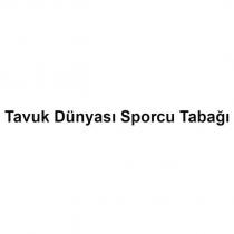 tavuk dünyası sporcu tabağı