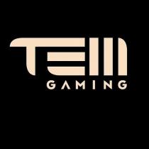 tem gaming