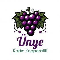 ünye kadın kooperatifi