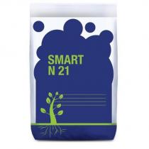 smart n 21