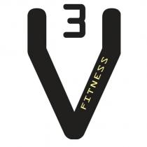 v3 fitness