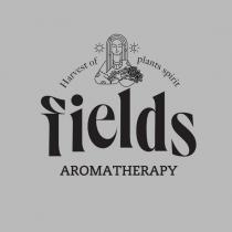 fields aromatherapy harvest of plants spirit