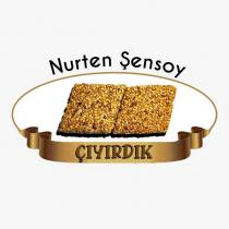 nurten şensoy çıyırdık
