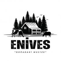 enives doğadaki mucize