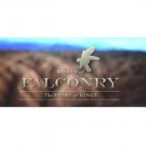 world of falconry the sport of kings