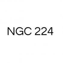 ngc 224