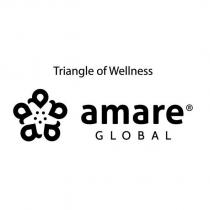 triangle of wellness amare global