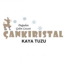 doğadan gelen lezzet çankıristal kaya tuzu