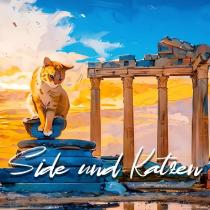 side und katzen