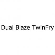 dual blaze twinfry