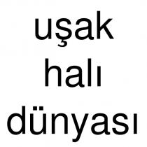uşak halı dünyası