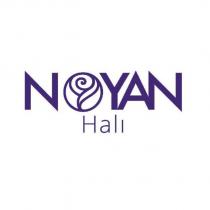 noyan halı