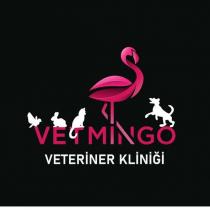 vetmingo veteriner kliniği