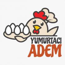 yumurtacı adem