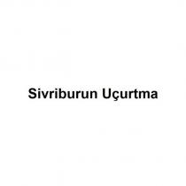 sivriburun uçurtma