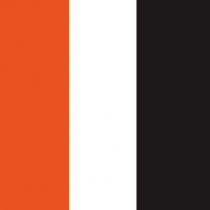 renk markası pantone 17-361 tcx, pantone 11-0601 tcx, pantone 19-4003 tcx