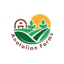 şekil + anatolian farms