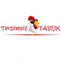 terbiyesiz tavuk