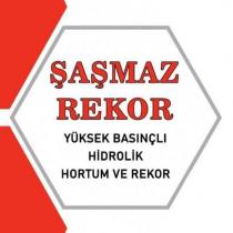 şaşmaz rekor yüksek basınçlı hidrolik hortum ve rekor