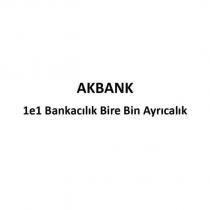 akbank 1e1 bankacılık bire bin ayrıcalık