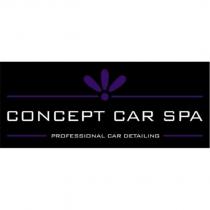 consept car spa professional car detailing