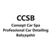 ccsb consept car spa professional car detailing bahçeşehir