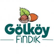 gölköy fındık