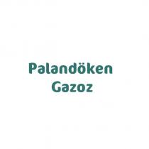 palandöken gazoz