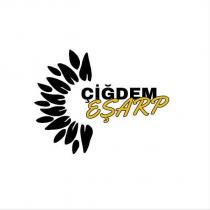 çiğdem eşarp
