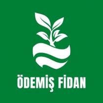 ödemiş fidan