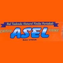 bal tadında naturel finike portakalı çavdır asel finike bekir uygun