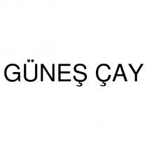 güneş çay