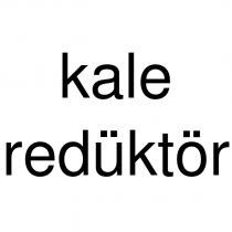 kale redüktör