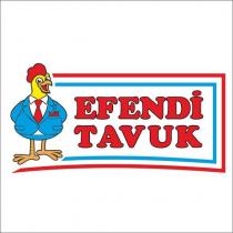 tavuk efendi