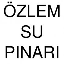 özlem su pınarı