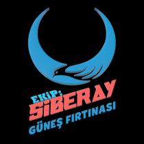ekip: siberay güneş fırtınası