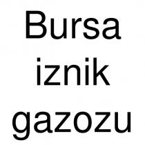 bursa iznik gazozu