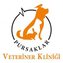 pursaklar veteriner kliniği