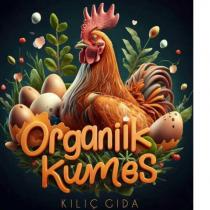 kılıç gıda organik kümes