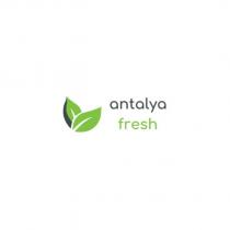 antalya fresh