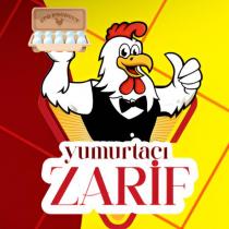yumurtacı zarif
