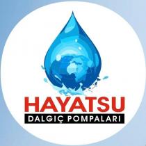 hayatsu dalgıç pompaları