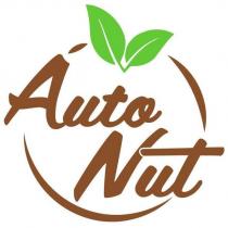 auto nut