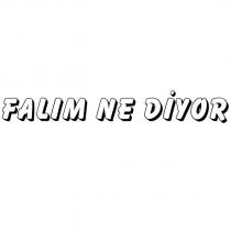 falım ne diyor