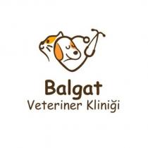 balgat veteriner kliniği
