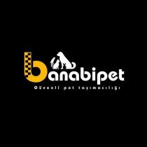 banabipet güvenli pet taşımacılığı