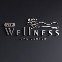 vip wellness spa center