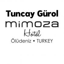 tuncay gürol mimoza hotel ölüdeniz