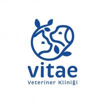 vitea veteriner kliniği
