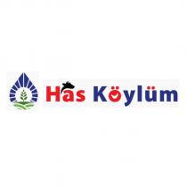 has köylüm